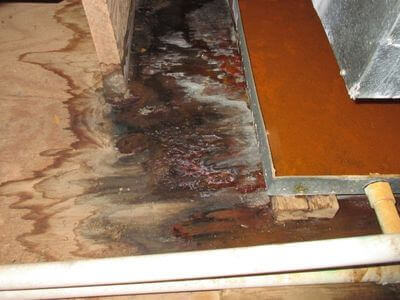 About La Vista Water Damage Restoration - water damage restoration experts in La Vista
